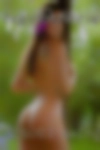 Swinger Spartanburg